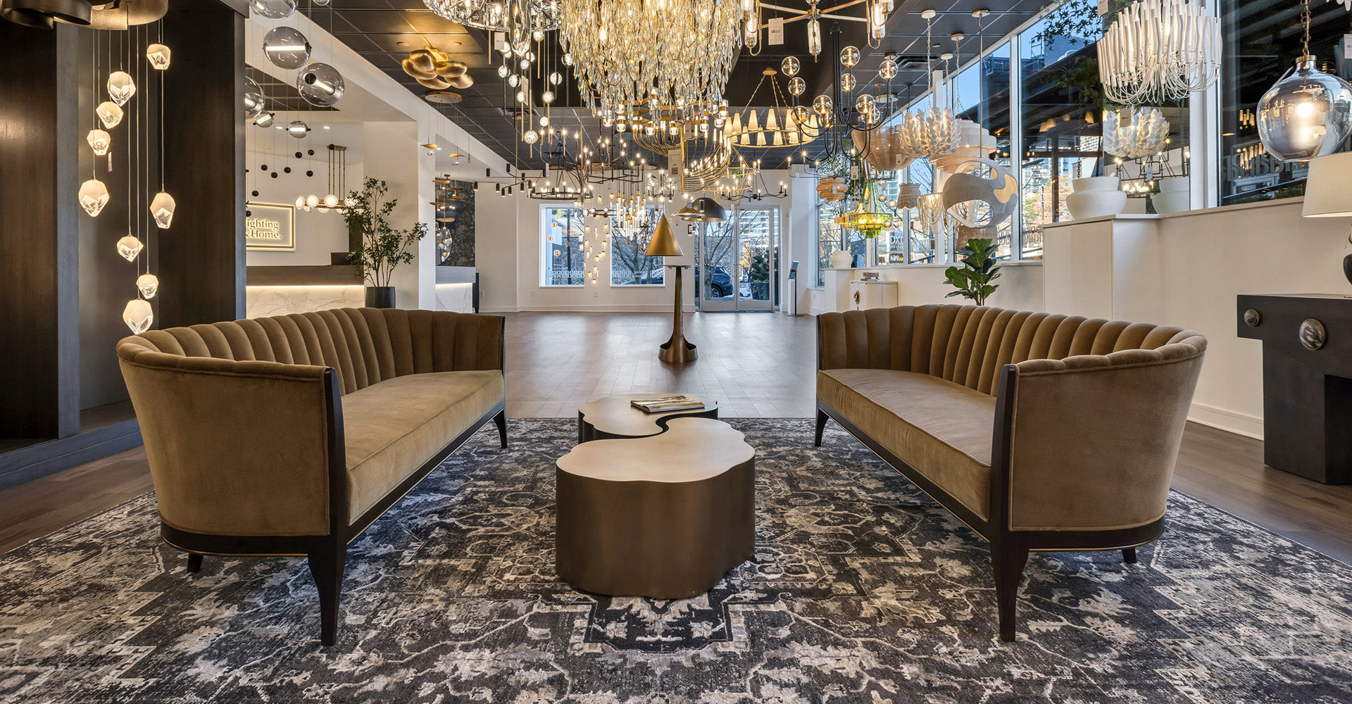 Elegant lighting showroom with two suede couches around an organic, wood coffee table and many chandeliers and ceiling lights overhead.