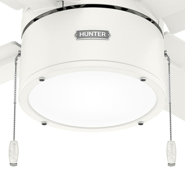 Hunter 51743: 328144_2.jpg