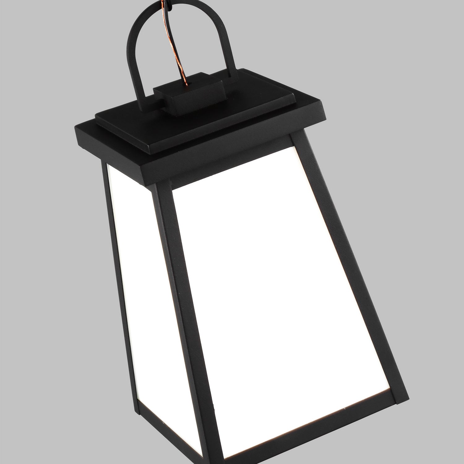 Generation Lighting 6248401EN3-12: 1161066-3.jpg