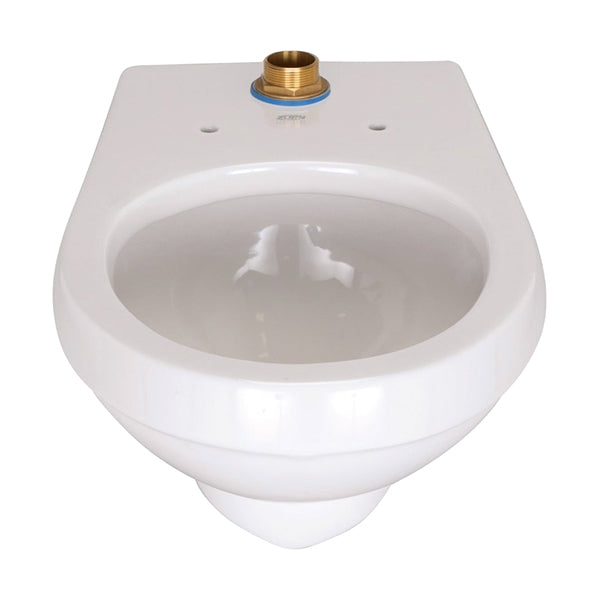 Zurn Z5615-BWL-AM