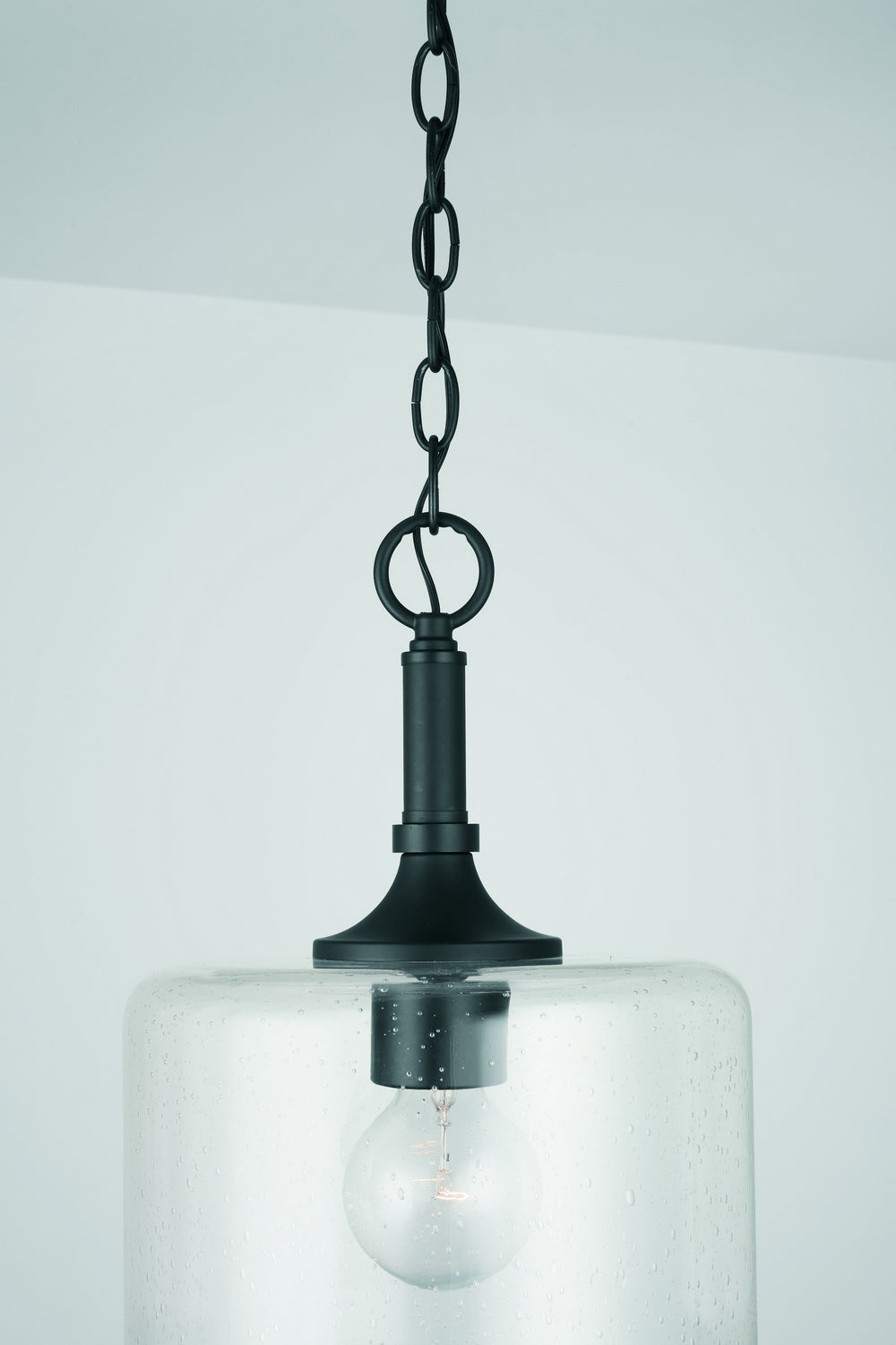 Carter 10 in 1-Light Pendant with Clear Seeded Glass