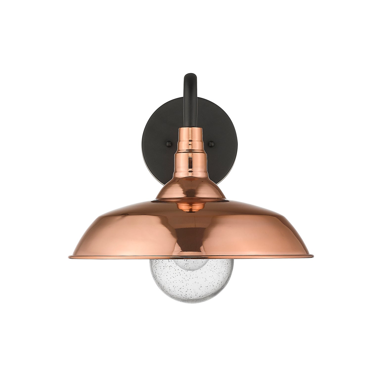 Burry 1-Light Outdoor Wall Lantern
