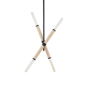 Troy Lighting F6704-SBK