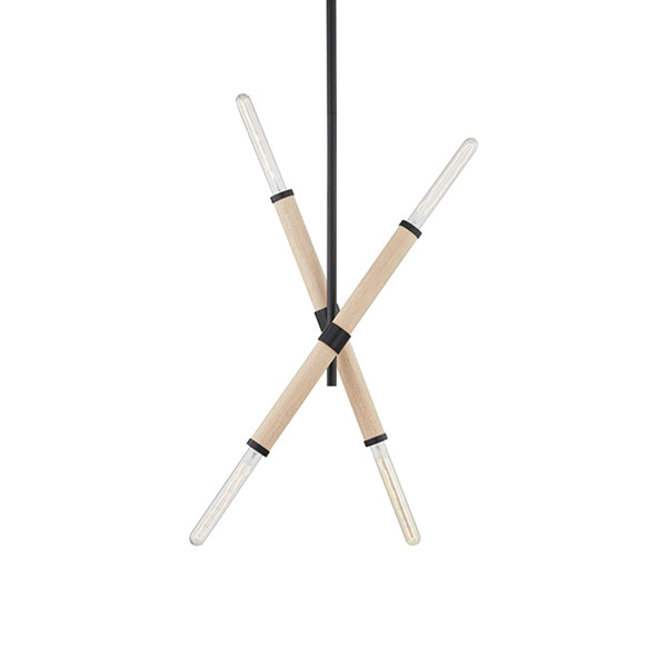 Troy Lighting F6704-SBK