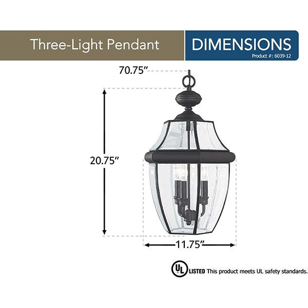 Generation Lighting 6039-12