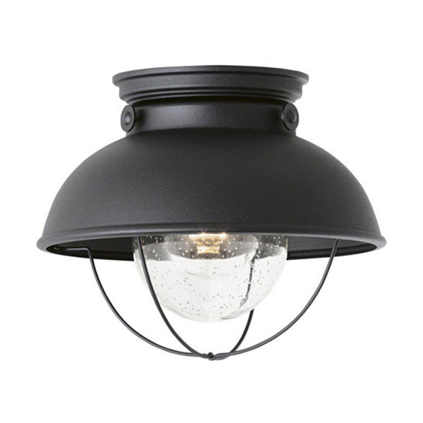 Generation Lighting 8869EN3-12