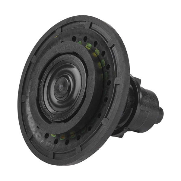 Sloan 3301037: 413_1.jpg (Variant Image)