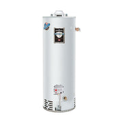 Bradford White RG250H6N