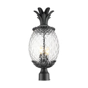 Acclaim Lighting 7517BK