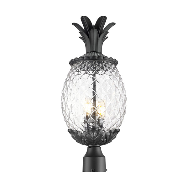 Acclaim Lighting 7517BK