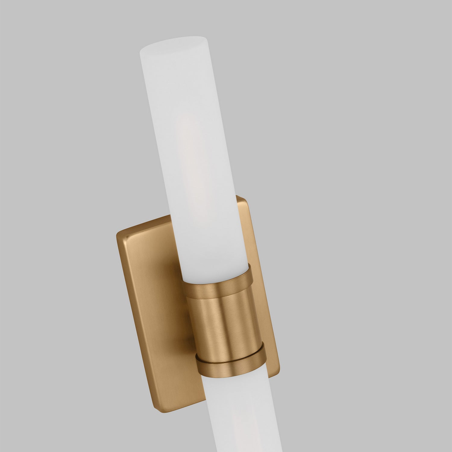 Seagull 4565002-848: 1272627-4.jpg