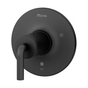 Pfister R89-1TNTB: 257206_1.jpg