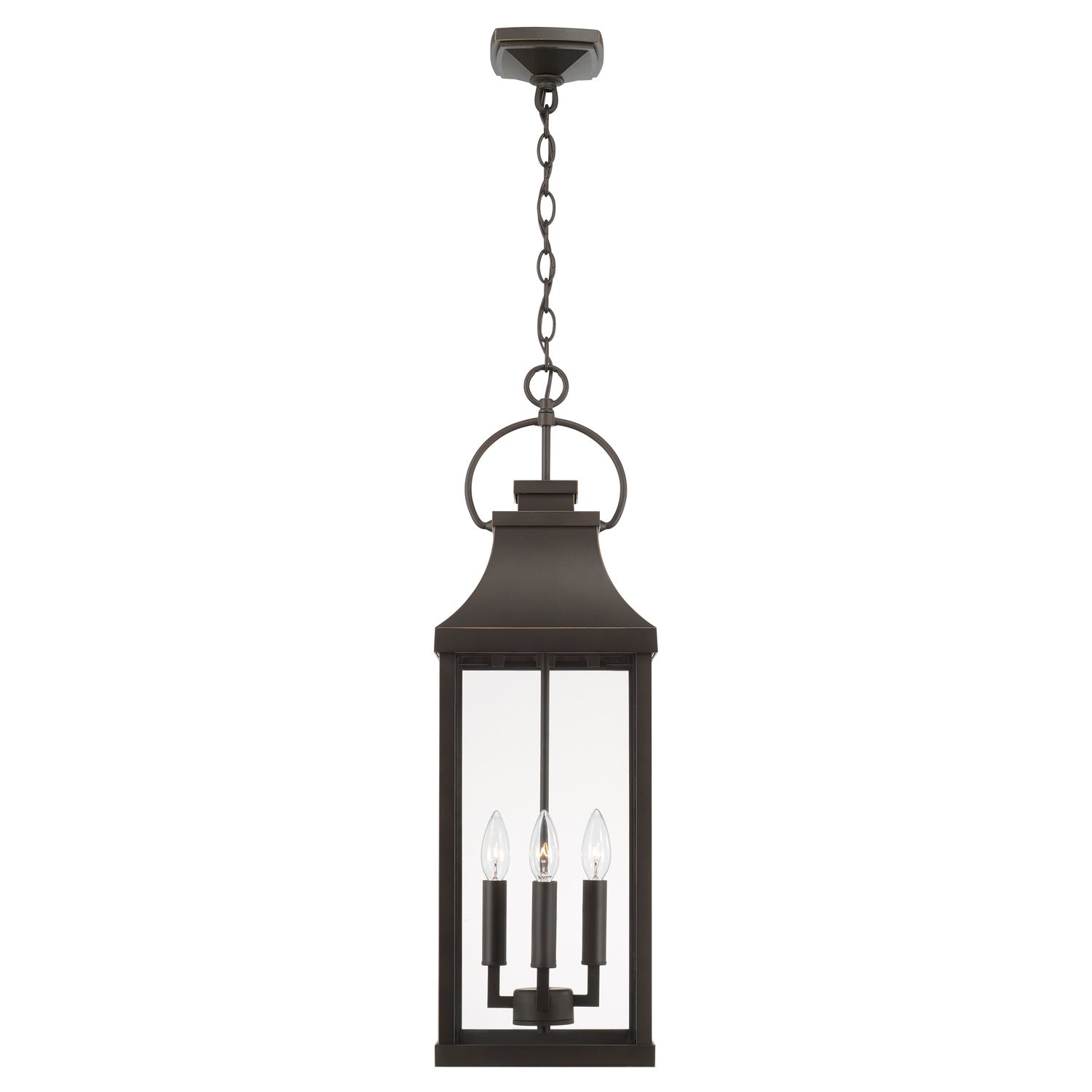 Bradford 4-Light Outdoor Hanging Lantern with Clear Glass Shade, Black