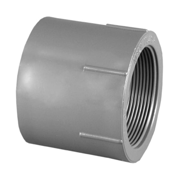 Charlotte Pipe 8101-1-1/4