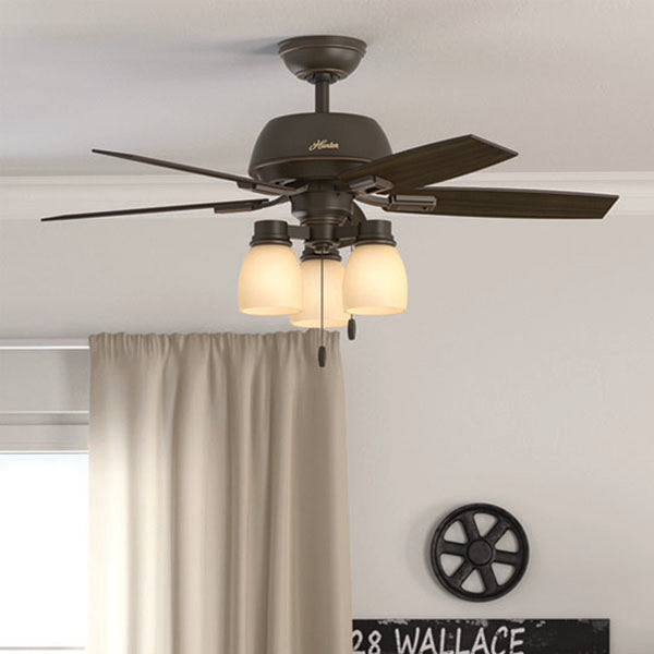 Hunter 52228: 100012_3.jpg