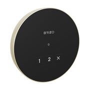 Brizo 8CN-220R-PN-L