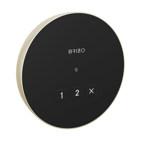 Brizo 8CN-220R-PN-L