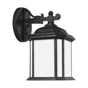 Generation Lighting 84529EN3-746