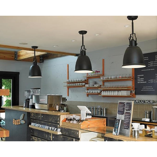 Hobson 1-Light Mini Pendant