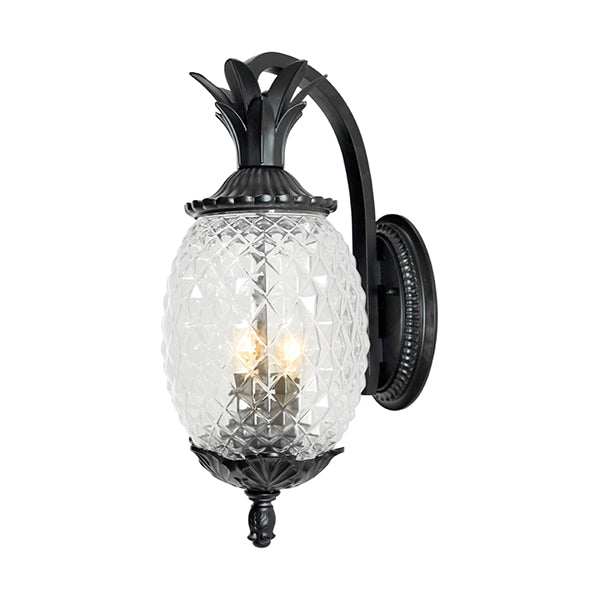 Acclaim Lighting 7502BK
