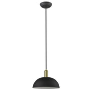 Acclaim Lighting TP30100BK: 950823.jpg