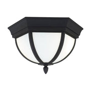 Generation Lighting 79136EN3-12
