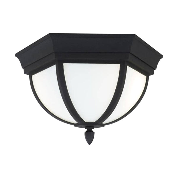 Generation Lighting 79136EN3-12