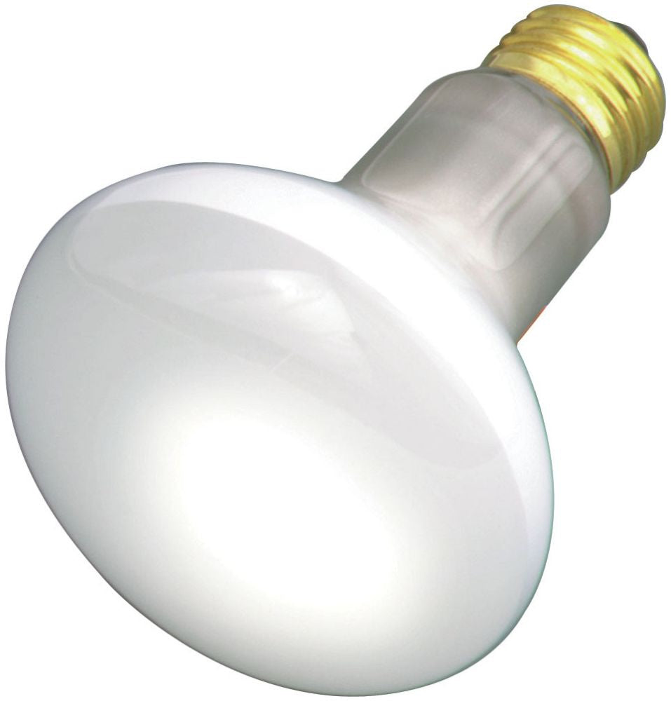 Satco S2810: Satco-NuvoLighting_S2810