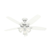 Hunter 53236: 227545_1.jpg (Variant Image)