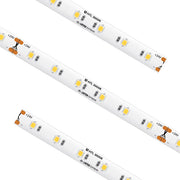 American Lighting HTL-WW-100