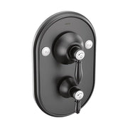 Moen TS32100BL: 36497_1.jpg