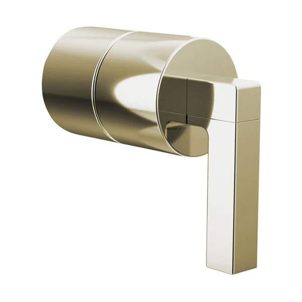 Brizo HL60P22-PN: 261570_1.jpg (Variant Image)