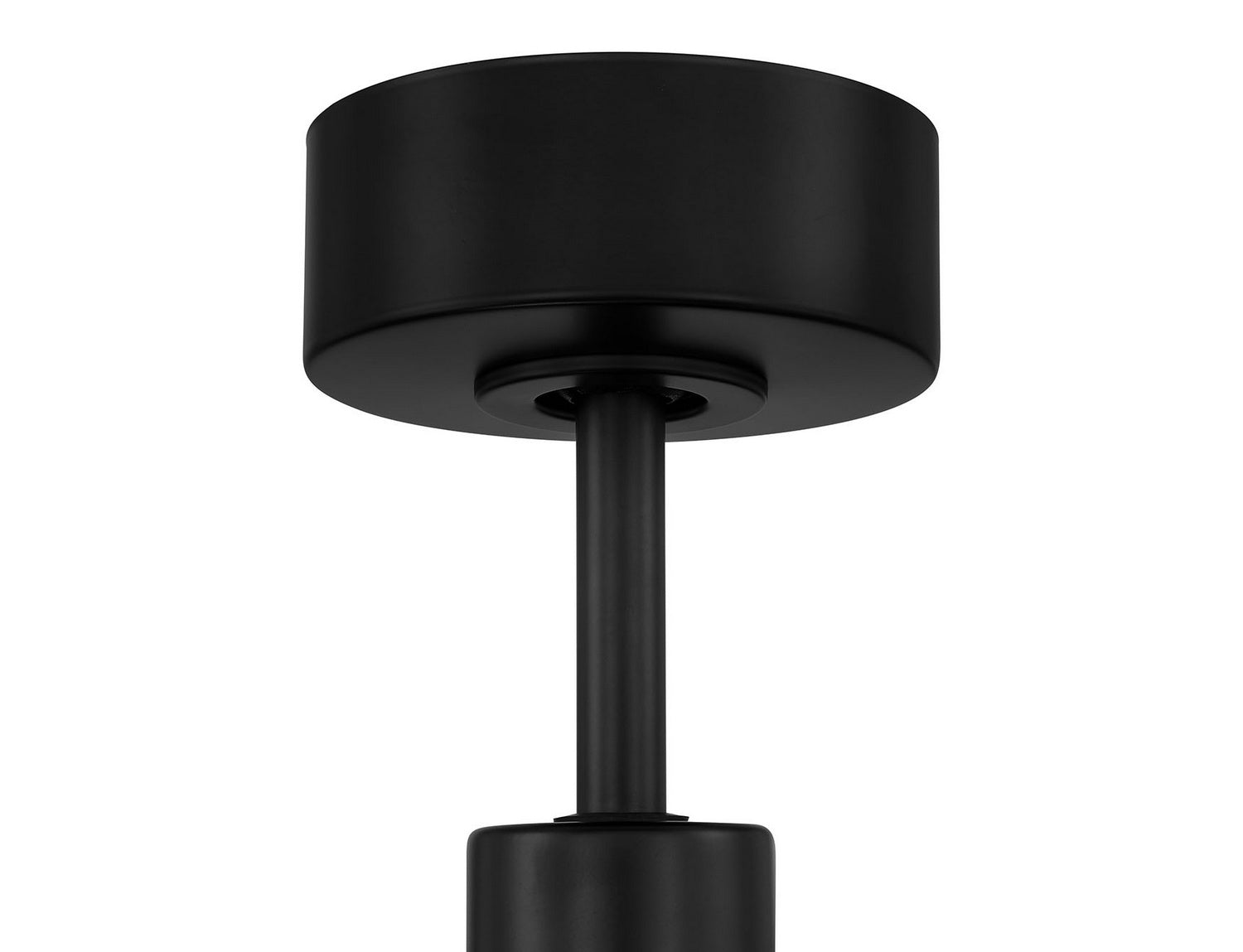 Phoebe 60 in 3 Blade Damp Ceiling Fan