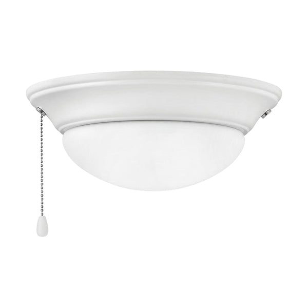Hinkley 930003FCW: 200039_1.jpg (Variant Image)