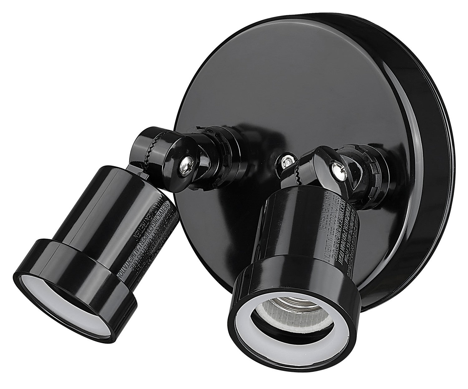 Acclaim Lighting FL2BK: 1518967.jpg