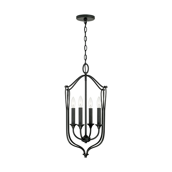 Capital Lighting 541641BI