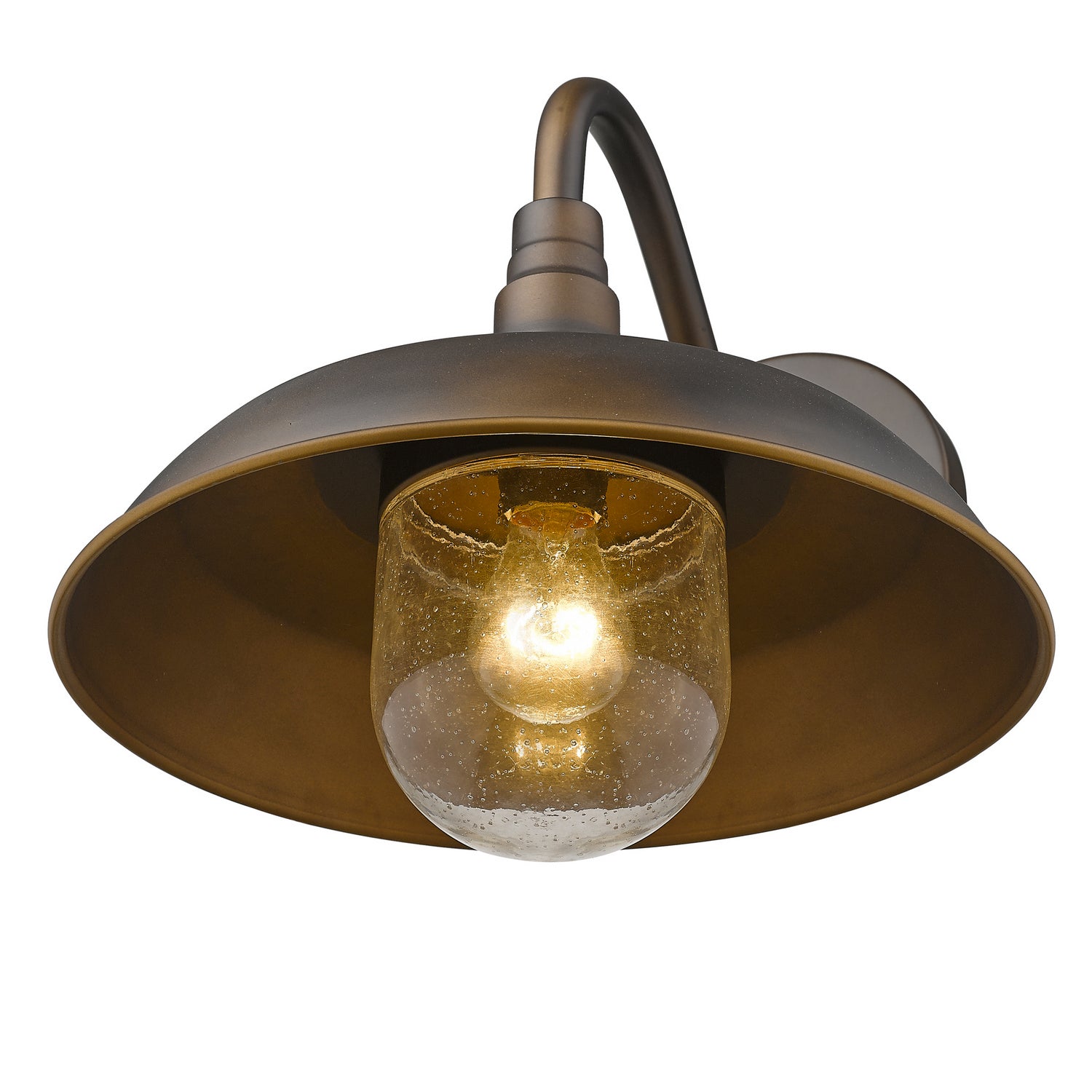 Burry 1-Light Outdoor Wall Lantern