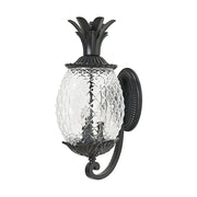 Acclaim Lighting 7511BK