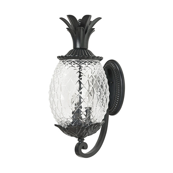 Acclaim Lighting 7511BK