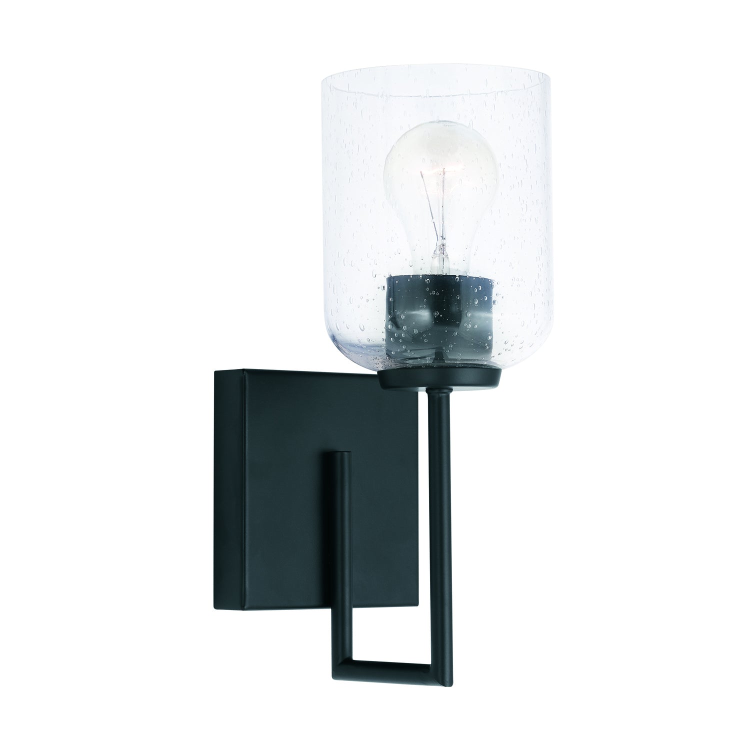 Carter 1-Light Wall Sconce with Clear Seedy Glass Shade