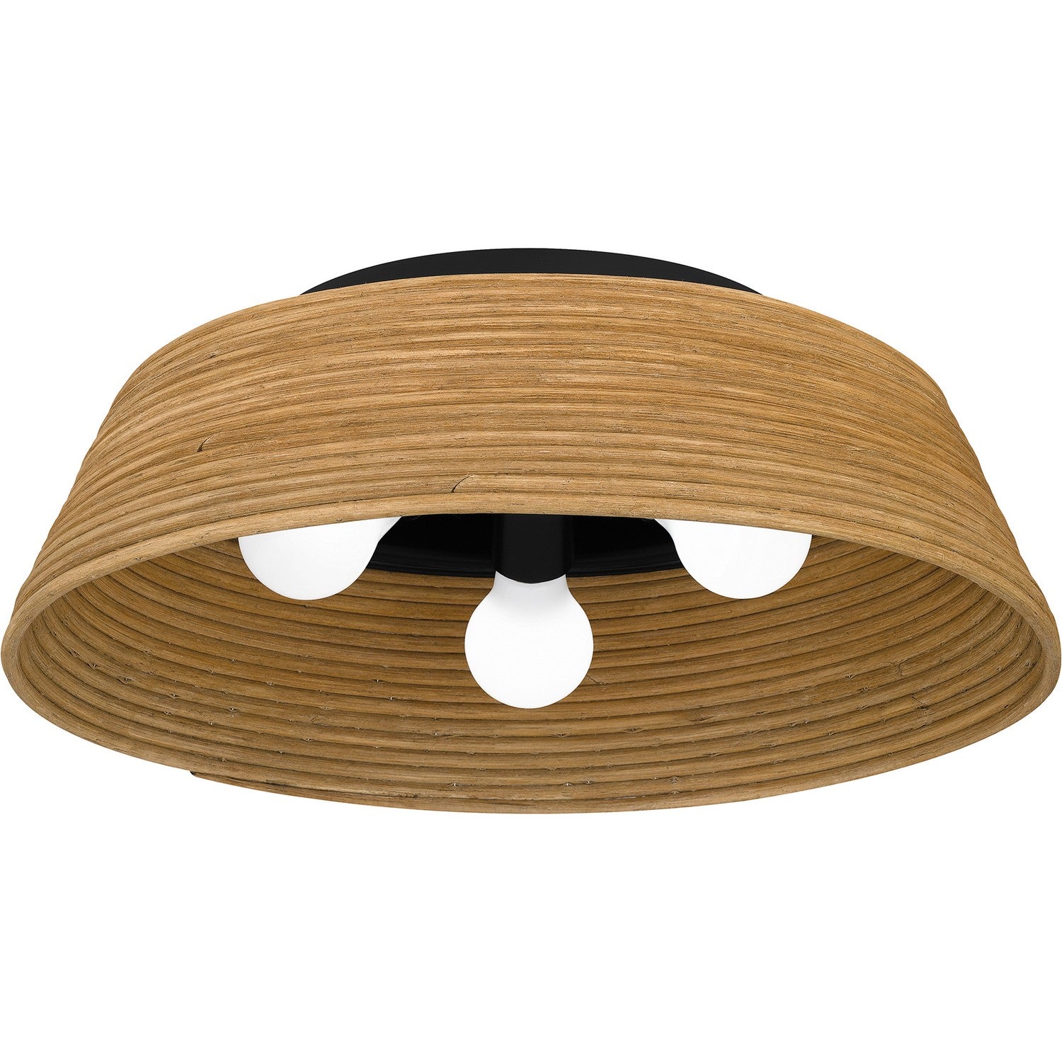 Quoizel QFL6167MBK: 1453672-3.jpg