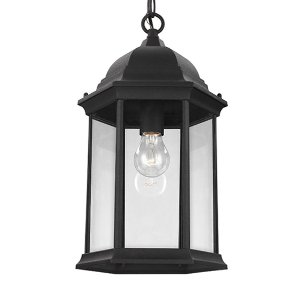 Generation Lighting 6238701-71