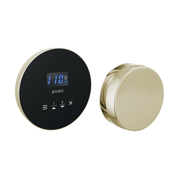 Brizo 8CH-250L-BNX-L
