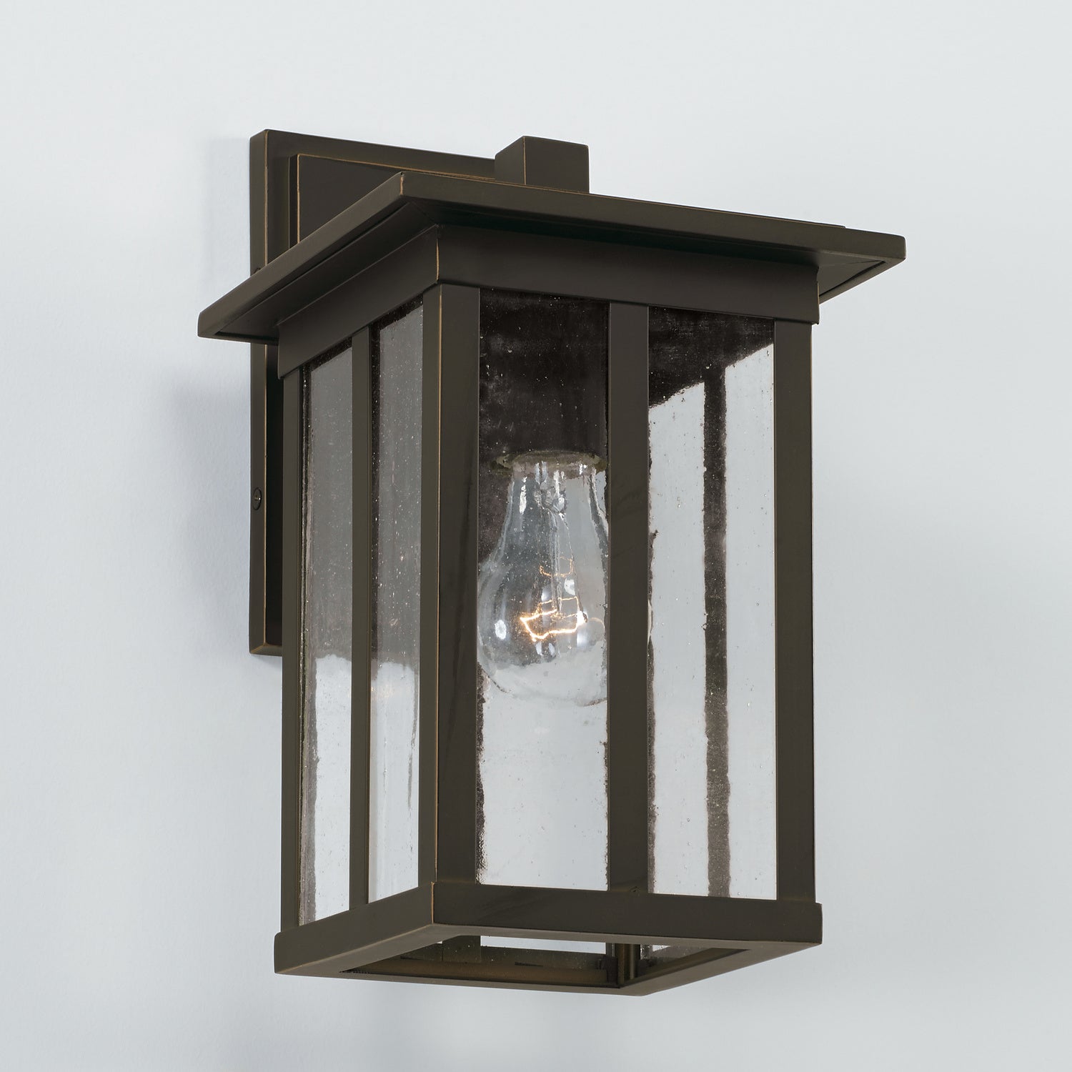 Barrett 1-Light Outdoor Wall Lantern