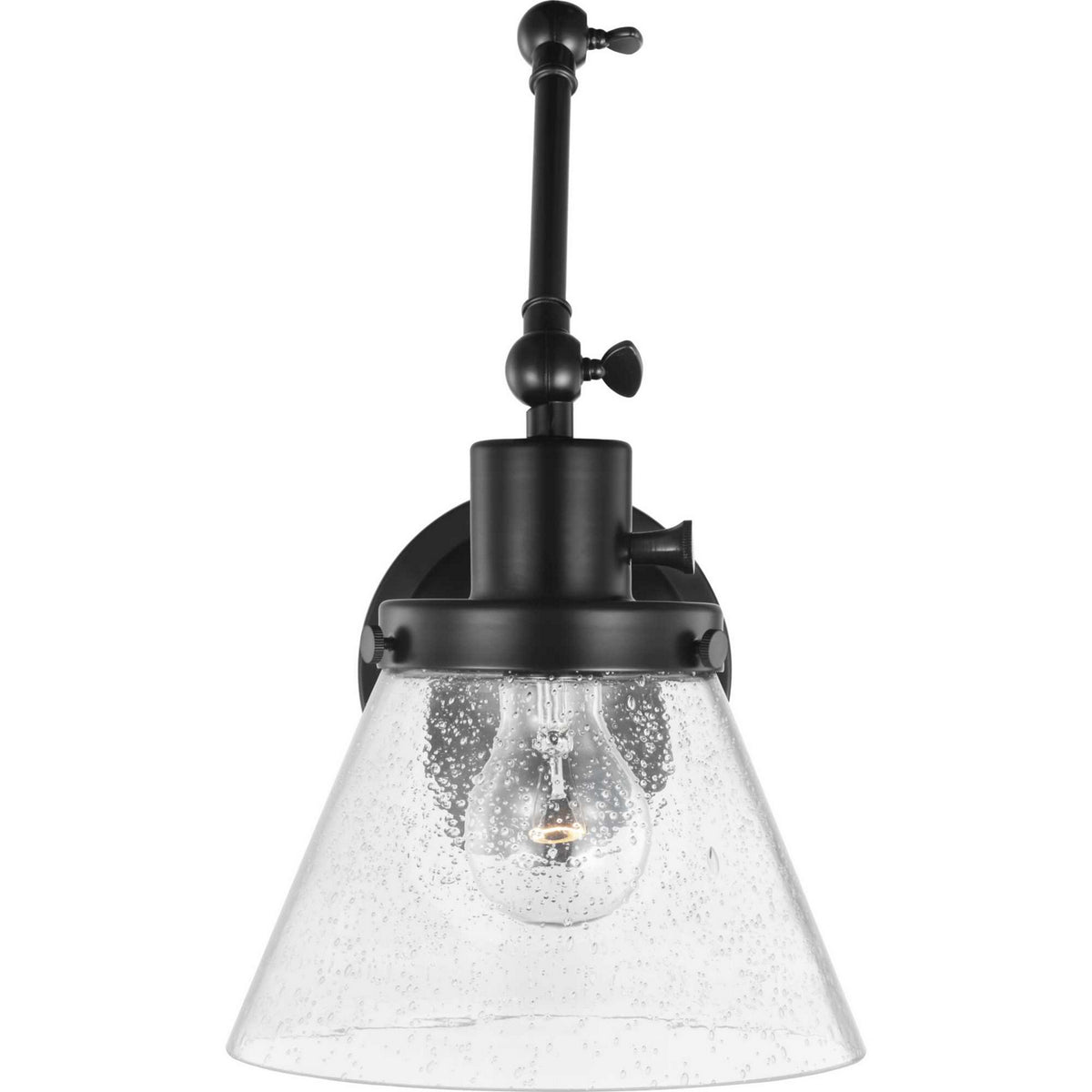 Hinton 1-Light 14 in Swing Arm Wall Light with Clear Seedy Glass Shade