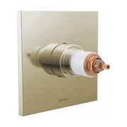 Brizo T60022-PNLHP