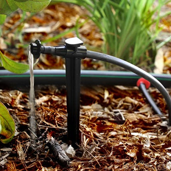 Rainbird DBC025