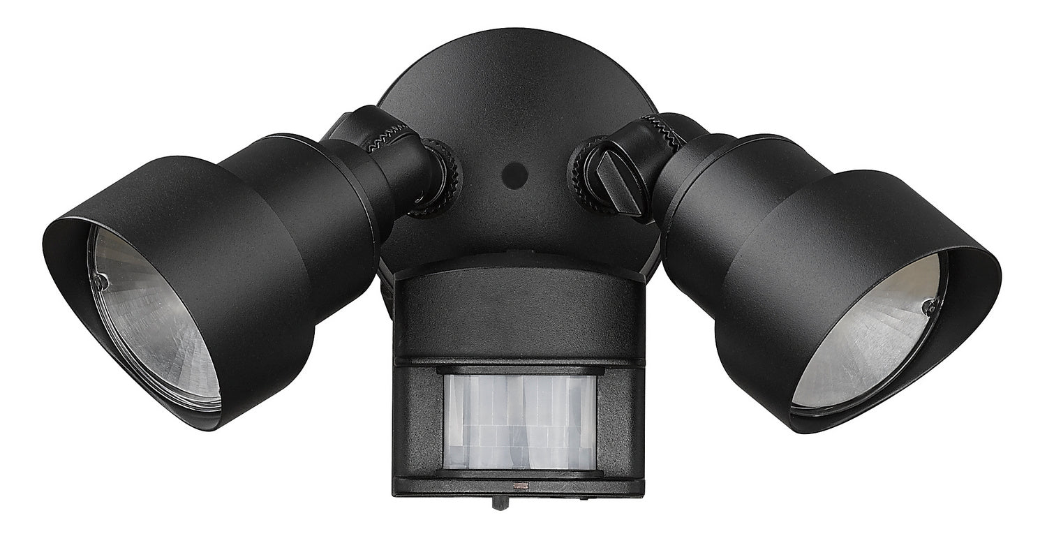 Acclaim Lighting LFL2BKM: 1130947.jpg