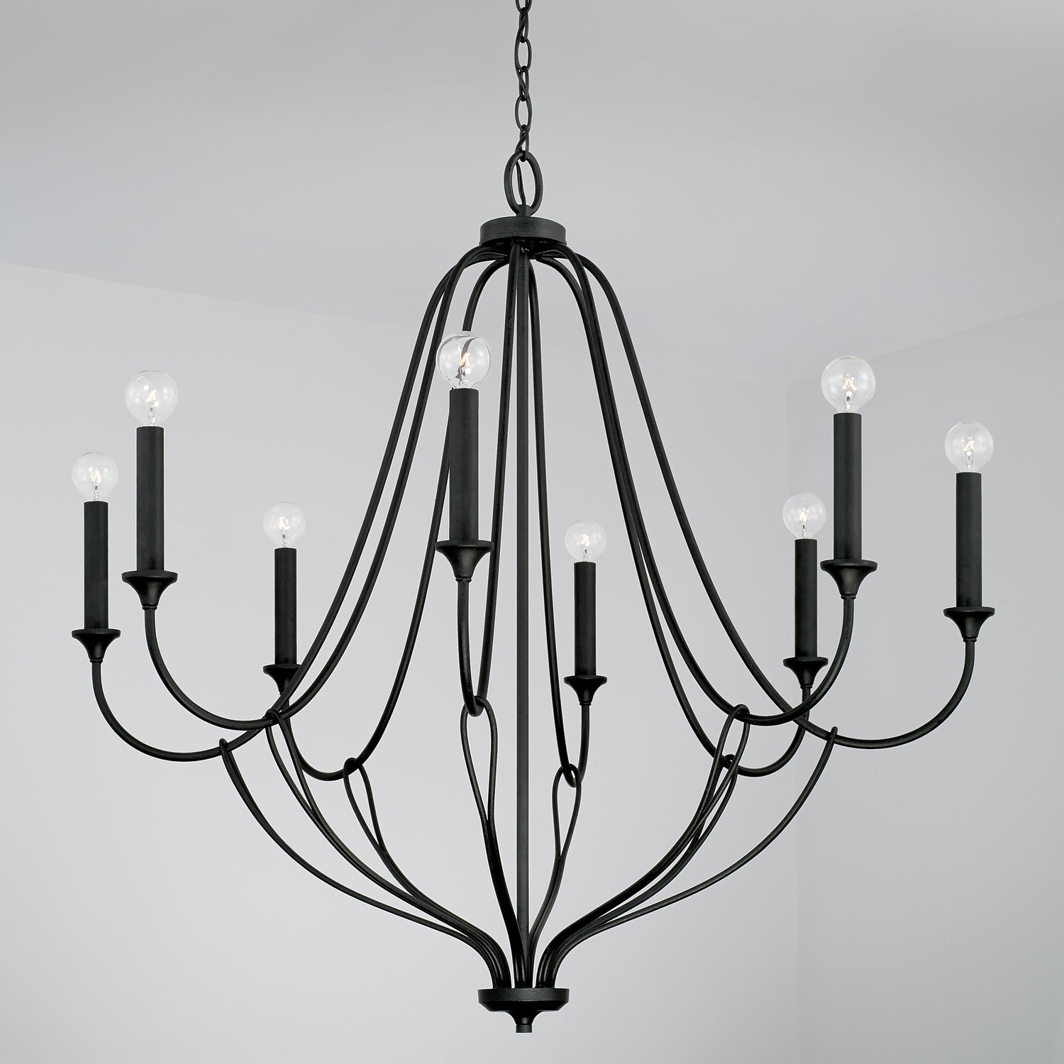 Capital Lighting 441681BI: lad-4547634-2.jpg