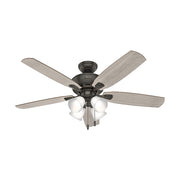 Hunter 53215: 78342_1.jpg (Variant Image)